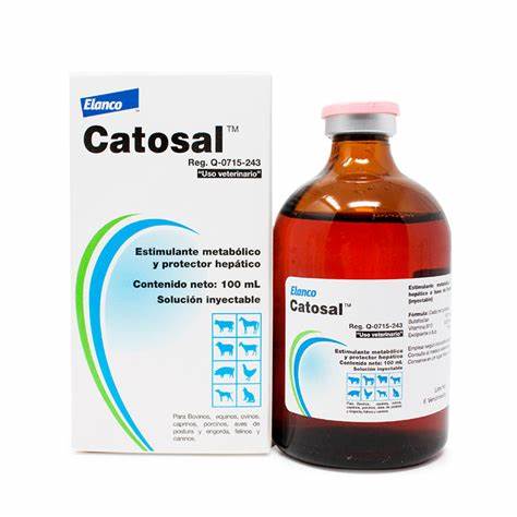 CATOSAL