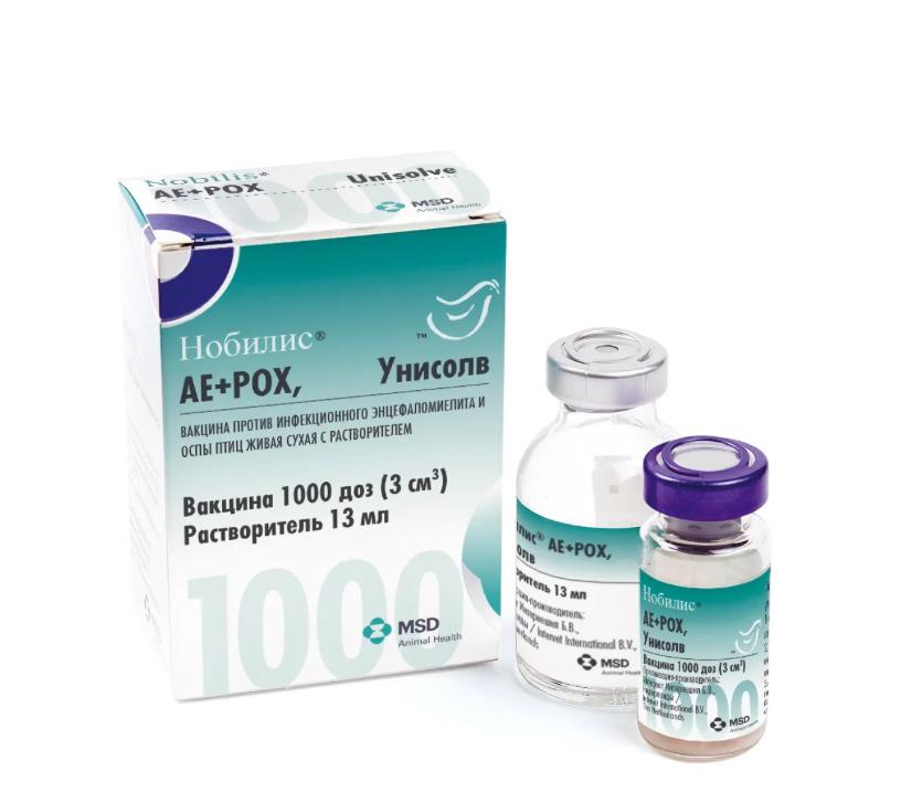 VACINA NOBILIS AE POX 1000DS Sambilis Vet vacina-nobilis-ae-pox-1000ds-sambilis-vet