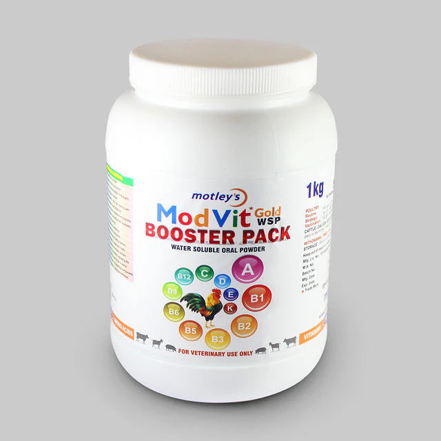 MODVIT GOLD 1KG